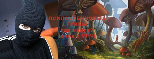 амф Абдулино