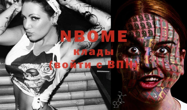 стаф Абаза