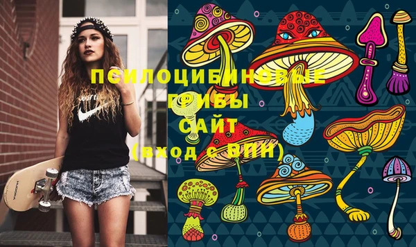 прущая мука Алексин
