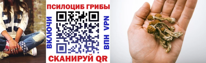 магазин продажи   Лабытнанги  Галлюциногенные грибы Magic Shrooms 